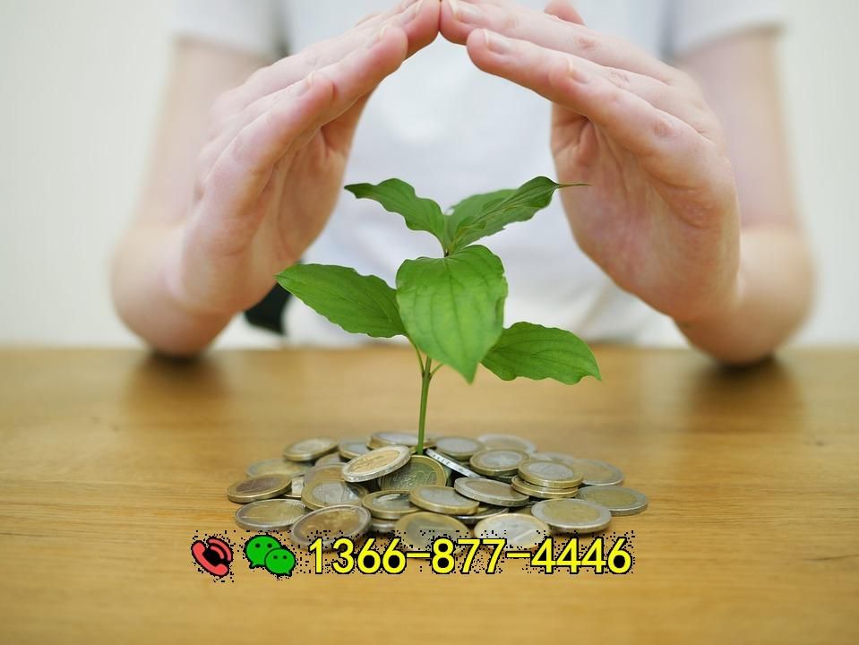 money-back-up-4518407_960_720.jpg