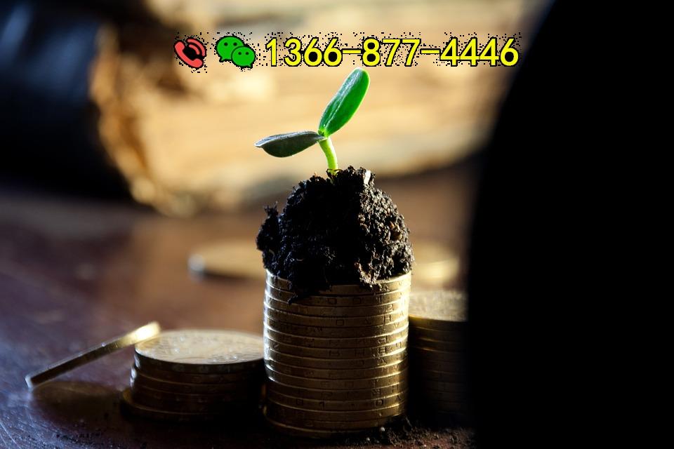 money-549161_960_720.jpg