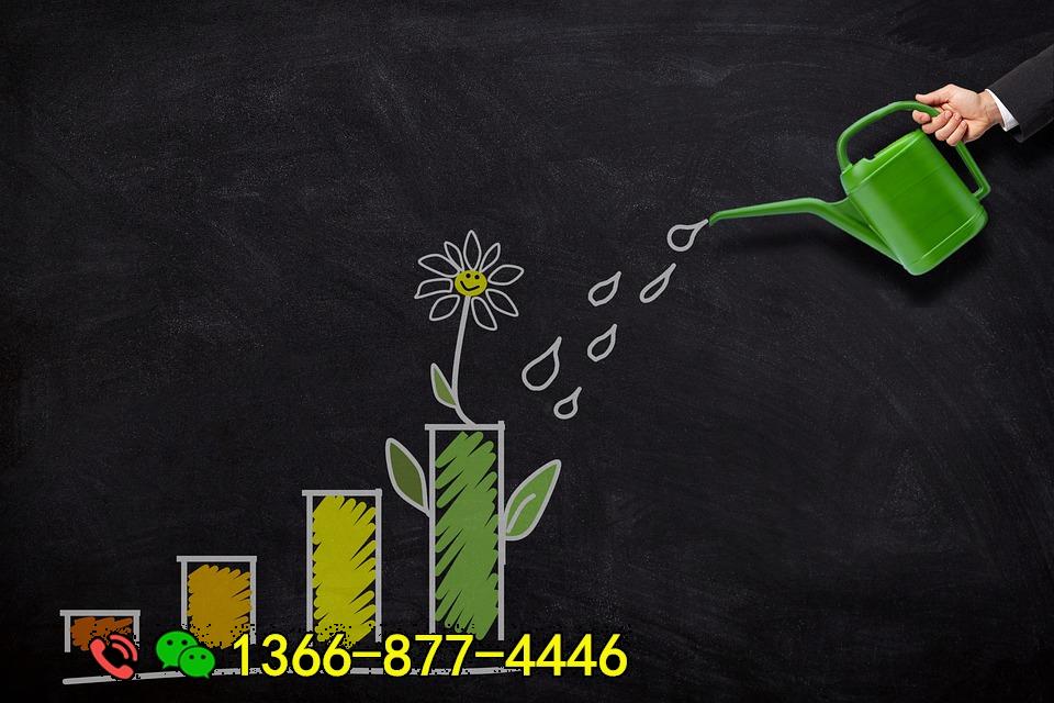 investment-5299600_960_720.jpg