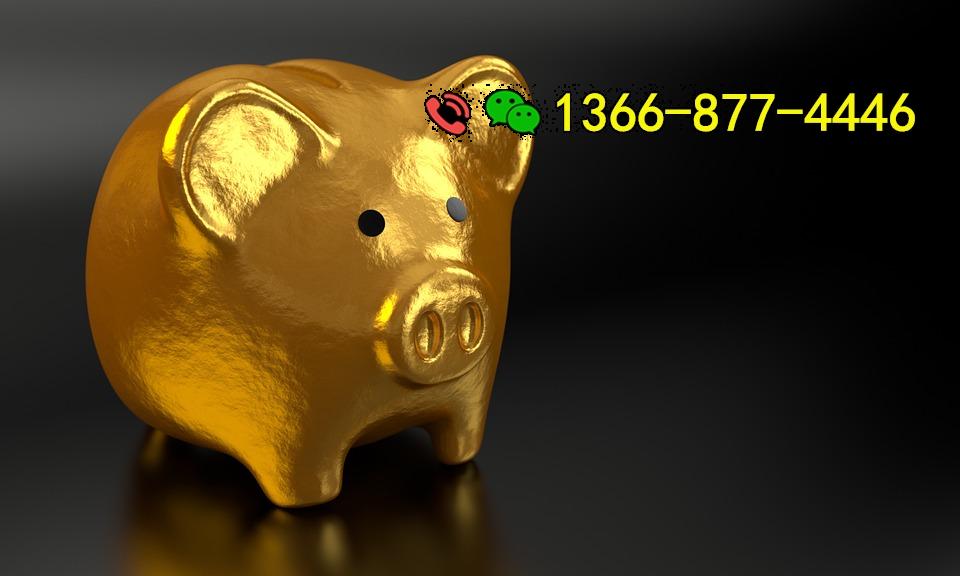 piggy-2889048_960_720.jpg