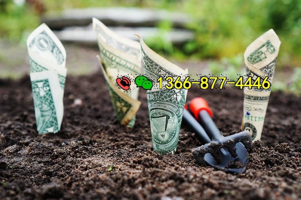 money-1604921_960_720.jpg