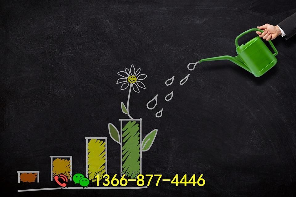 investment-5299600_960_720.jpg