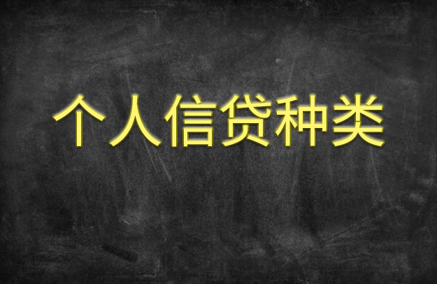 个人信贷种类