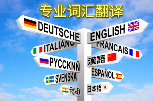 专业词汇翻译对比