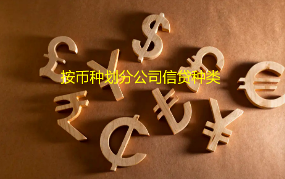 按币种划分公司信贷种类