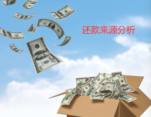 公司信贷分析之还款来源分析