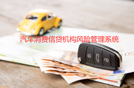 汽车消费信贷机构风险管理系统